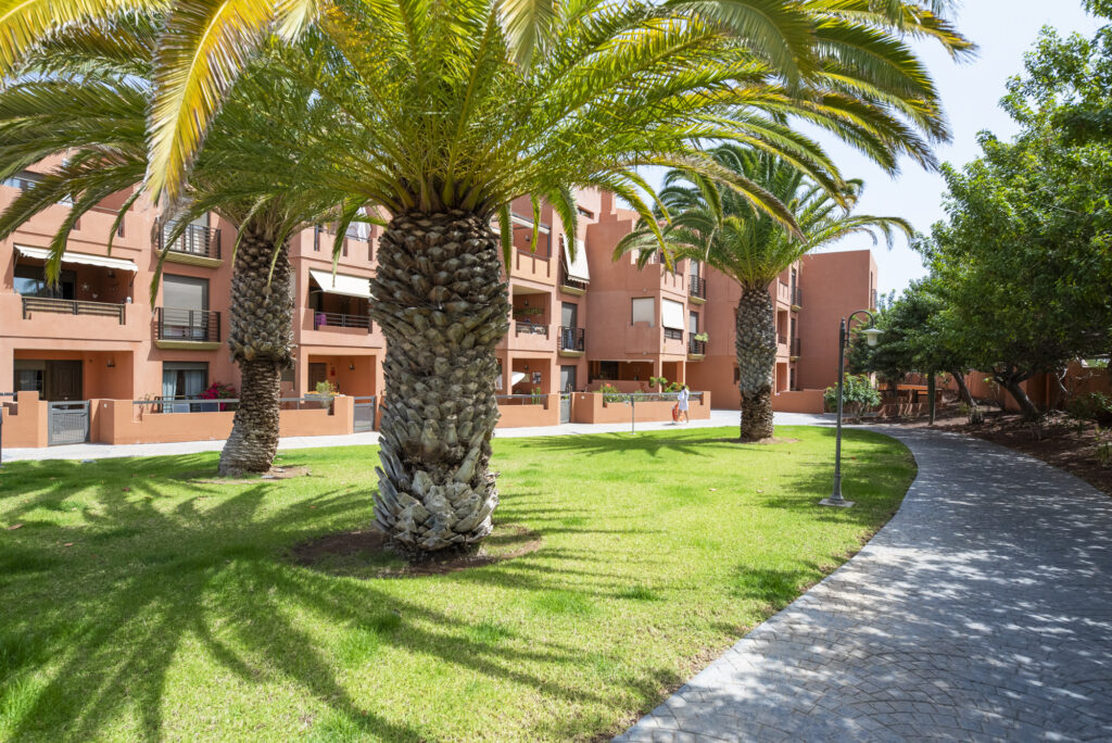 Flamboyant Sus Apartment · Jardín y piscina en La Tejita – 29